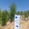 شناسایی و قطع ۵ فقره انشعاب غیرمجاز آب در مسیر چشمه‌کبود ایلام