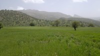 منطقه قلارنگ ایلام 1