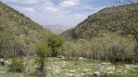 بهار 92 ایلام