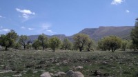بهار 92 ایلام
